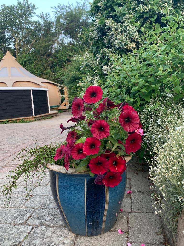Romantic Luxus Glamping 1 Idestrup Kültér fotó