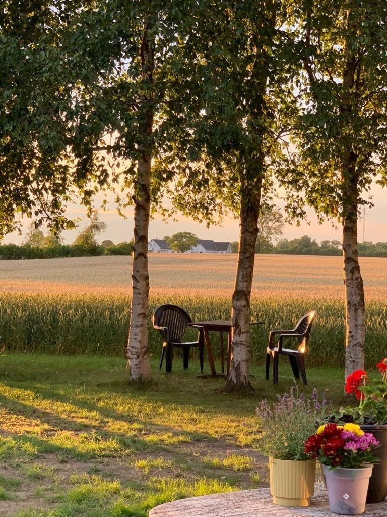 Romantic Luxus Glamping 1 Idestrup Kültér fotó